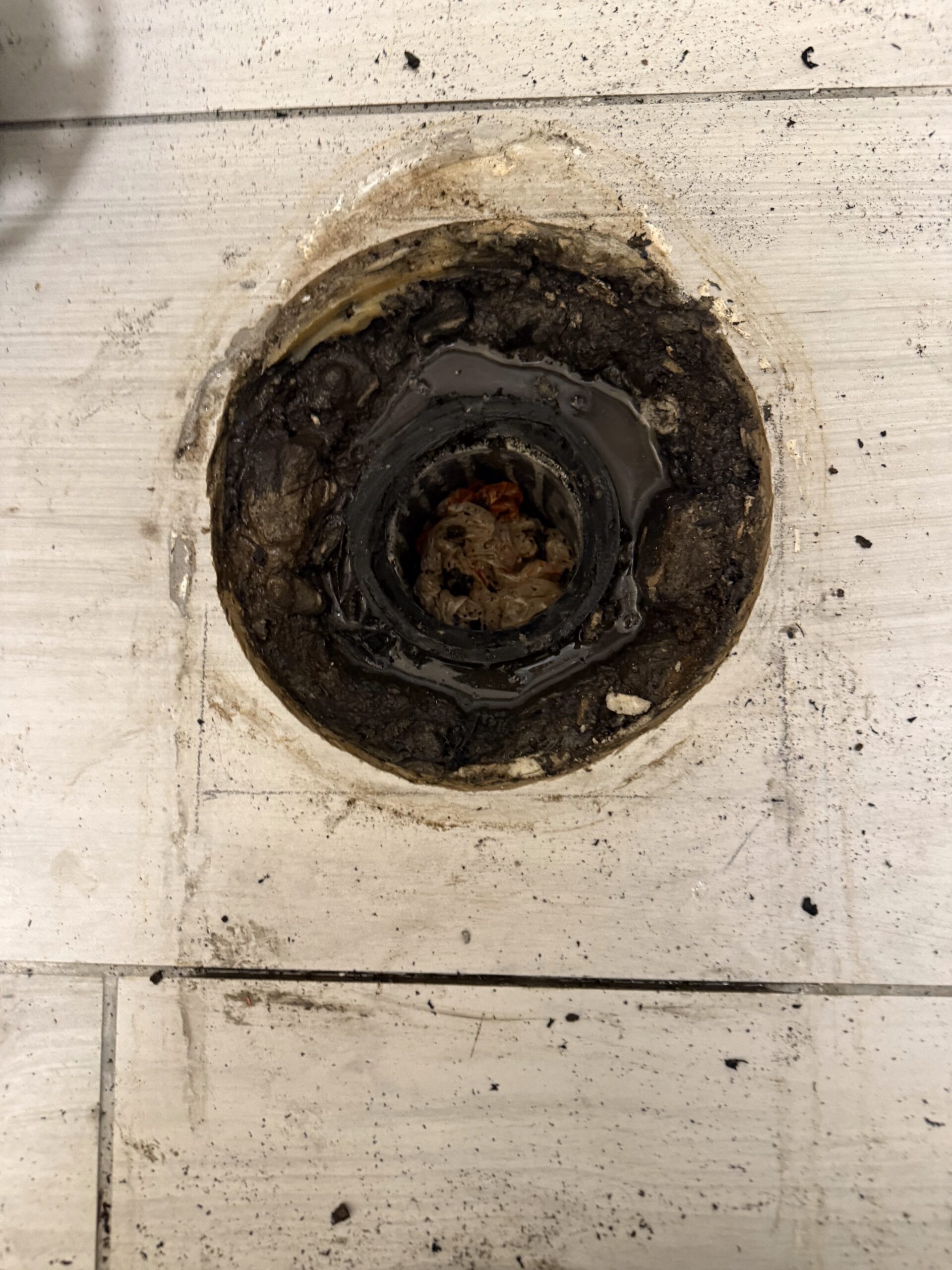 Leaking toilet flange with dark, dirty water and debris around the drain, illustrating plumbing issue addressed by Edge Plumbing in Phoenix, AZ.