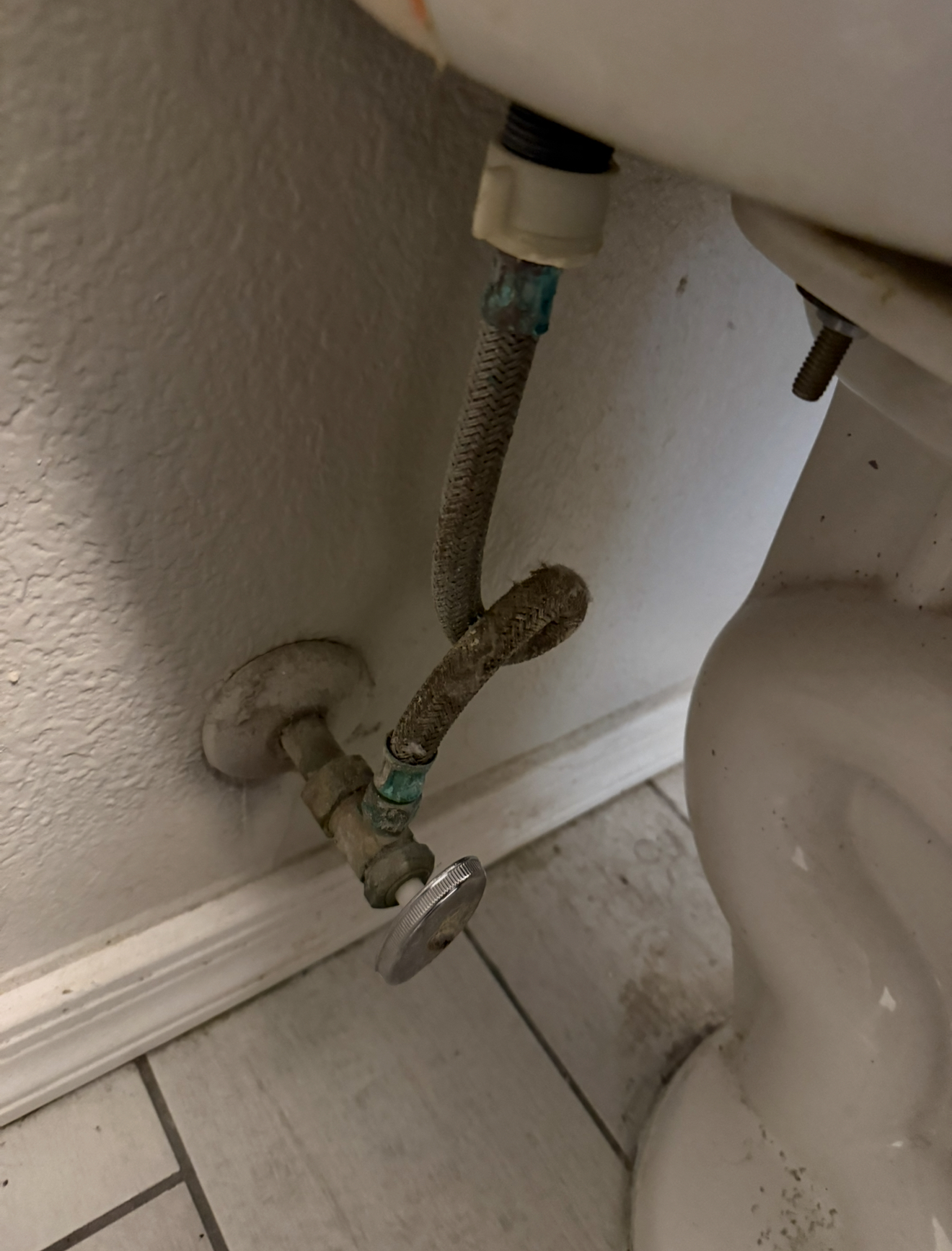 Leaking valve and supply line connection near toilet, indicating plumbing issue in need of maintenance or repair.